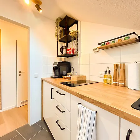 Apartmán 2 Schlafzimmer, Zentral, Kingsizebetten Aquisgrà